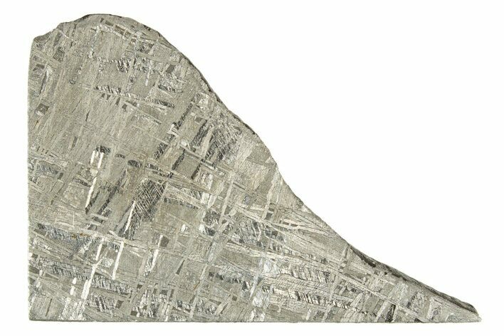 Etched Gibeon Iron Meteorite ( g) Slice - Namibia #334669